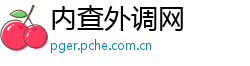 内查外调网